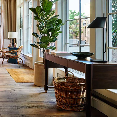 Detail: fiddle-leaf fig, a wooden console and a woven basket by the tall lobby windows at The Pinch Hotel, Charleston, South Carolina, interior design by Alexandra Peck Design