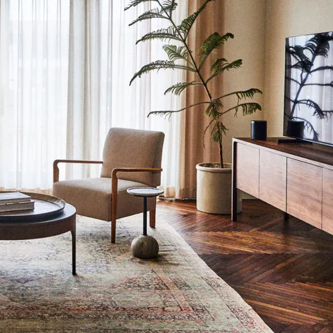 Detail: upholstered armchair, a potted tree and sheer curtains in a suite living room at The Pinch Hotel, Charleston, South Carolina, interior design by Alexandra Peck Design