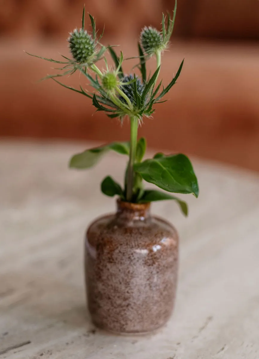 Thistle stems in a speckled ceramic vase on a stone table in the hotel lobby at The Pinch Hotel, Charleston, South Carolina, interior design by Alexandra Peck Design